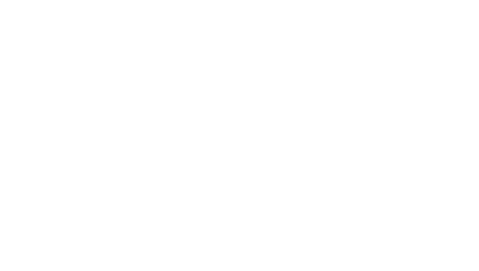 Falcon Force